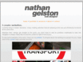 nathangelston.com