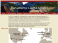 transatlantic-camk2-alliance.org