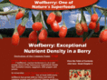 wolfberry.org