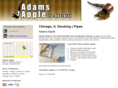 adamsapplechicago.com