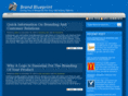 brandblueprint.org