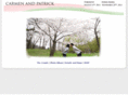 carmenandpatrick.com