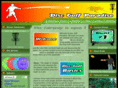 discgolfparadise.com