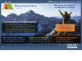 mntview.com