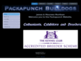 packapunch-bulldogs.com