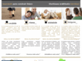 visesa.com