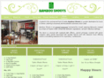 bambooshootsnoida.com