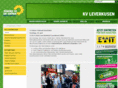 die-gruenen-leverkusen.de