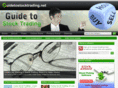 guidetostocktrading.net