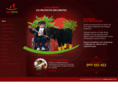 lovehorse.org