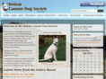 thecanaandog.co.uk