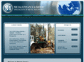 metalsfinance.com