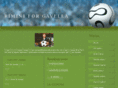 riminiforgavella.com