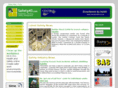 safety43.com