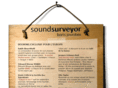 soundsurveyor.com