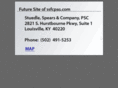 ssfcpas.com