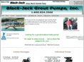 blackjackgroutpumps.com