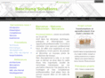 boschungsolutions.com