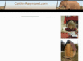 caitlinraymond.com