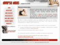 diverseideas.com