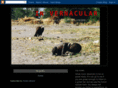 invernacular.com