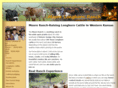 longhorn-cattle.com