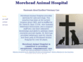 moreheadanimal.com