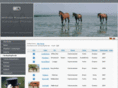 sportpferde-verkauf.net