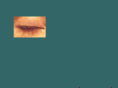 waldorfs.com