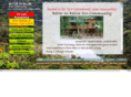 betterinbelize.net