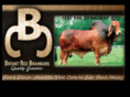 bryantredbrahmans.com