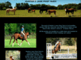 hunterslaneponyfarm.com