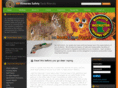 mnfas.com
