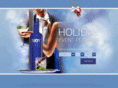 skyyholiday.com