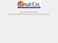 consultitinc.com