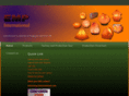 emp-international.com