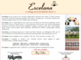 excelana.com