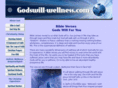 godswill-wellness.com