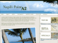 maui-napili.com