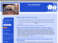 ourhorseblog.com
