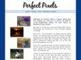 perfectpixels.org