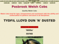 posbrook-welshcobs.com