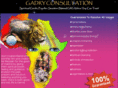 gadryconsulting.com