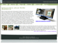 delhibuildtech.com