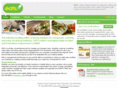 eatsolution.com