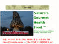 freshmorels.com