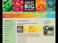 greatbigroses.com