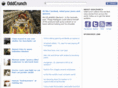oddcrunch.com