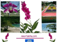 resortaloha.com