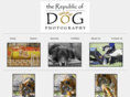 thedallasdog.com